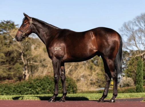Latest Weekly Listings – North Pacific, Sword of State and Wootton Bassett